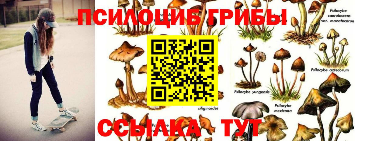 Ангарск  Галлюциногенные грибы ЛСД  Вход с VPN 